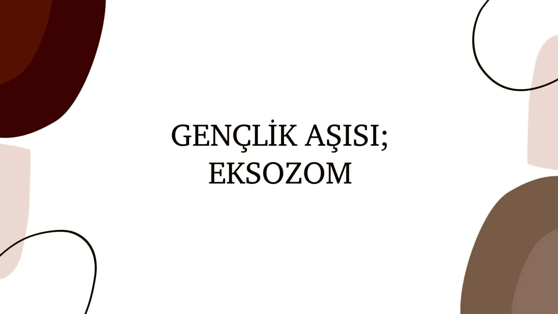 ankara-life