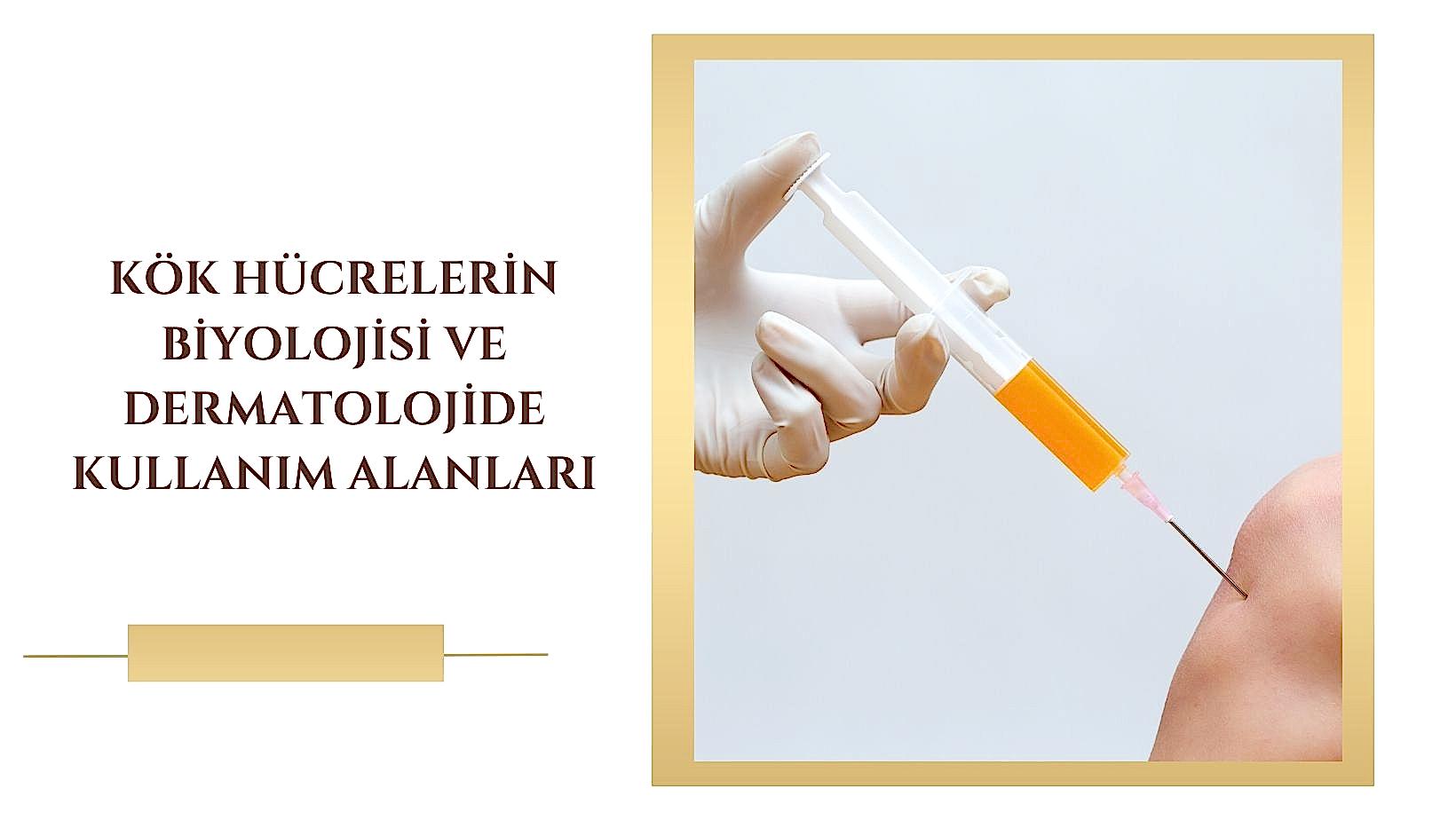 Kök Hücrelerin Biyolojisi ve Dermatolojide Kullanım Alanlar
