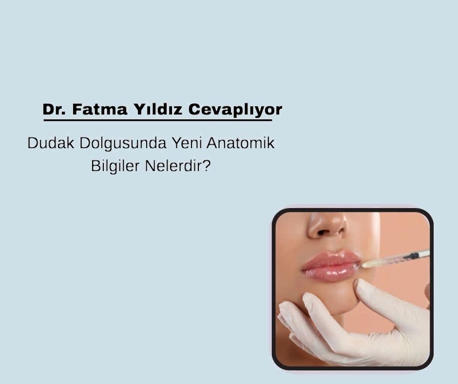 Dudak Dolgusu Yeni Anatomik Bilgiler Nelerdir?